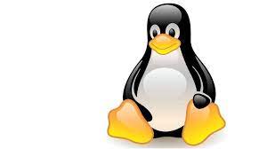 Penguins are ungainly waddling flightless birds, unless in the water. Designspark Onthisday In 1996 Linus Torvalds Decided To Adopt Tux The Penguin As A Mascot For The Linux Operating System Linux Tux Penguin Facebook