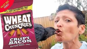 'Jack the Jackdaw believes married couple are his parents and even eats  from their mouths'