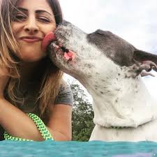 Happy Saturday from adoptable boy Max!