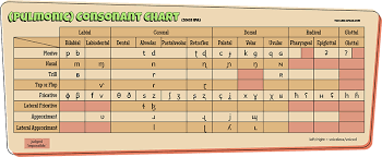 Topic 12 The Periodic Table Of Speech Sounds The Ling Space