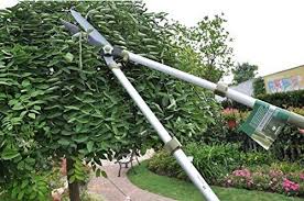 Worth Garden Telescopic Hedge Shear Extendable Long Reach Clipper Long Arm Pruning Shears W Antirust Teflon Blade Adjustable Garden Hedges Hedge Shears Hedges