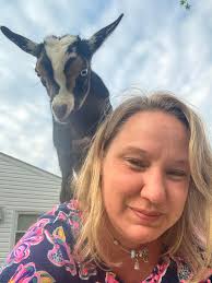 Baby goats living their best life ♥️