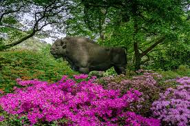 Im botanischen garten sind hunde erlaubt sofern sie an der kurzen leine geführt werden. Rhododendronpark Bremen Mit Botanischem Garten Und Botanika