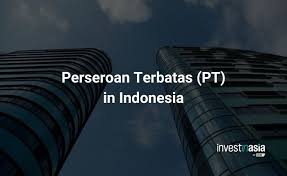 What is Perseroan Terbatas (PT) in Indonesia?