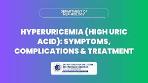 Image result for Hyperuricemia