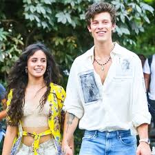 Just two people doing totally normal, friendly things. Camila Cabello Expertly Trolls Shawn Mendes Tiktok Attempt E Online Deutschland