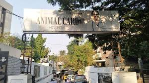 Blue cross dog & cat hospital is a full service animal hospital and welcomes both emergency treatment cases as well as pet patients in need of routine medical, surgical, and dental care. Dr Lakshmi Srinivasan Veterinary Physician Book Appointment Online View Fees Feedbacks Practo