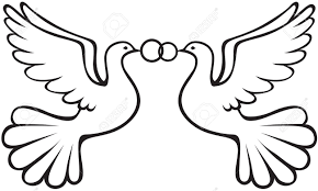 Bei den von mir eingesetzten tauben für hochzeiten handelt es sich ausschließlich um weiße brieftauben. Ein Paar Der Hochzeit Weisse Tauben Sind Trauringe Lizenzfrei Nutzbare Vektorgrafiken Clip Arts Illustrationen Image 17322873
