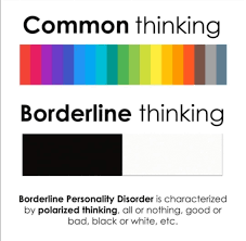 Pin By Scotttroff Jones On Bpd In 2020 Bpd Relationships Borderline Personality Disorder Quotes Disorder Quotes