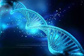 Genetic engineering has been used since the. Overview Of Genetic Modification Techniques Taconic Biosciences