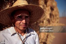 114 Bailer Stock Photos, High-Res Pictures, and Images