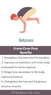 How To Do Crane Pose And Benefits Yoga Fitness Yoga Poses Advanced Workout For Beginners