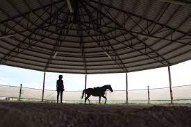 Photo Story Horseback Rider Accent