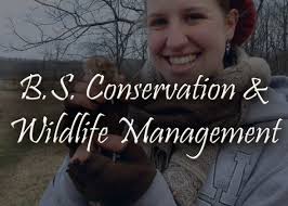 About The Art of Ecology (Marissa Jacobs)