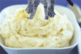 How To Make Perfect Mashed Potatoes And Common Mistakes To Avoid Mashed Potatoes Recipe For Two Perfect Mashed Potatoes Homemade Mashed Potatoes Easy