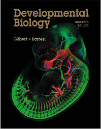 Cell culture systems two basic culture systems are used for growing cells. E Libraryme Developmental Biology 11th Edition Pdf