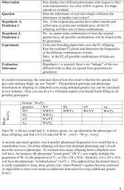 Dihybrid cross practice practice solving dihybrid crosses. Mendelian Genetics I Background Pdf Free Download
