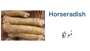 Vegetable Names In English And Urdu With Pictures Download Pdf In 2020 Name Of Vegetables Vegetables Names With Pictures Fruits Name In English