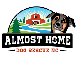 We did not find results for: Almost Home Dog Rescue Nc Home