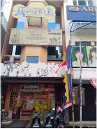Check spelling or type a new query. Lowongan Kerja Sopir Toko Pochi Pet Store Di Klampis Surabaya Atmago