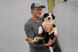 Season 7 badge holders that highlights the benefits of linkedin for. Pittsburgh Penguins On Twitter It S Raining Cats And Dogs This Year S Pet Calendar Photo Shoot Was A Swell Time Fur Sure Thanks For Making It All Pawssible Animal Friends And Pensfoundation