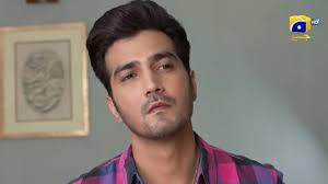 Meray Humnasheen Episode 19