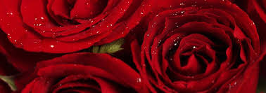 Annie Marie Sprinkle