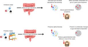 Taking probiotics alongside prescribed antibiotics could reduce damage to  gut microbiome