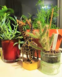 Submitted 4 years ago by sedimentally. Urban Jungle Bloggers Design Lovin