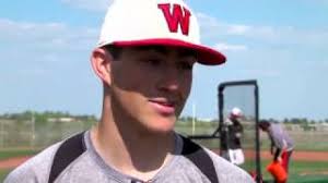 Mixed-Media Journalist