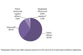 Police Workforce England And Wales 31 March 2013 Gov Uk