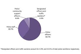 police workforce england and wales 31 march 2013 gov uk