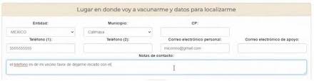 Hasta ahora la página oficial no ha presentado ningún retraso. Vaccination Registration And Curp Instructions Covid19 Sma Medical Information Informacion Medica
