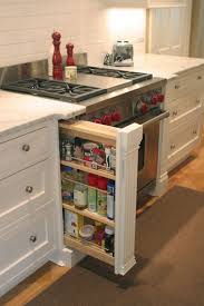 Skinny Pull Out Cabinet Spices Cooking Spray Dish Soap Where Is It Best Next To The Stove Or Sink Modern Kitchen Kitchen Remodel Kitchen Inspirations