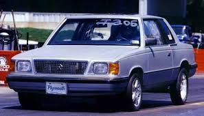 Image result for Damson Red 1994 Reliant