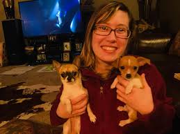 Reputable dog trainers and breeders avoid the term "deer head"