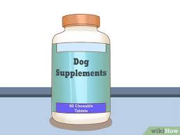 The importance of the immune system. 3 Simple Ways To Boost Your Dog S Immune System Wikihow Pet