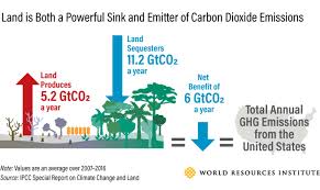 A new report by the intergovernmental panel on climate change (ipcc) has been released. 7 Things To Know About The Ipcc S Special Report On Climate Change And Land Sustainable Brands