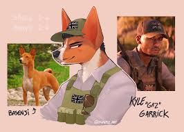 Gaz cod furry