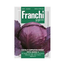 Check spelling or type a new query. Semi Cavolo Cappuccio Rosso Cabeza Negra 3 Tete Noir Viridea