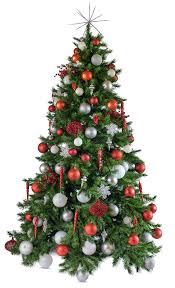 Christmastime is also a wonderful opportunity to unleash your. Decorated Christmas Tree Hire Delivery Melbourne The Happy Christmas Company