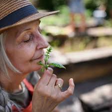 History of Herbalism and Herbal Medicine