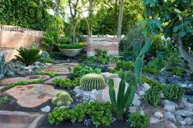 Drought Tolerant Planting Cactus Cacti Succulents Echinocactus Grusonii Rocks Pebbles Paving Path S Succulent Landscape Design Succulent Landscaping Succulents