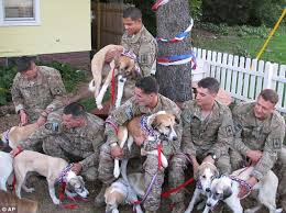 Charlotte has been on the streets of afghanistan rescuing dogs and carrying on her vital work even whilst the taliban have been cracking down, but sadly time has now ran out. National Guard Soldiers Reunited With Dog They Rescued From Afghanistan And Her Seven New Puppies Daily Mail Online