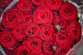 Get this great delivery service without paying extra by using a 1800 flowers free shipping code or 1800. Why Roses Are The Perfect Valentines Day Gift Blogs 1 800 Flowers French Bouquet