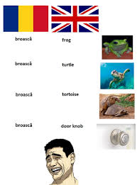 500 x 830 png 95 кб. Do You Even Romanian Bro 9gag