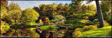 Asticou Azalea Garden Northeast Harbor Maine Azaleas Garden Japanese Garden Garden