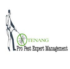 Brown recluse spiders, ants, termites & more. Tenang Pro Pest Expert Management Home Facebook
