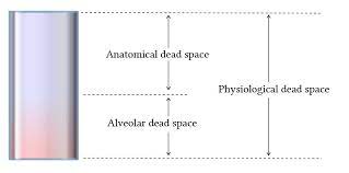 By quantifying this dilution it is possible to measure anatomical and alveolar dead space, employing the concept of mass balance, as expressed by bohr equation. Dead Space And Its Components Deranged Physiology