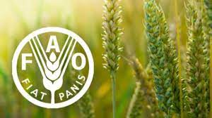 The food and agriculture organization of the united nations leads international efforts to defeat fao's mandate is to raise levels of nutrition, improve agricultural productivity, better the lives of rural. Fao Commends The Sultanate S Use Of Unconventional Water Resources